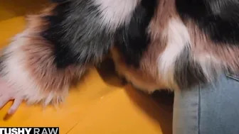 scarlett jones b/g show 3