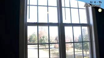 daphnejo Cute chick pulls up her dress