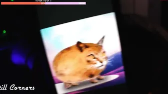 sweetariaa Black haired bitch sucks dick and fucks