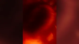 Ex gf missed sucking it