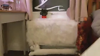 LilyPink beauty masturbates and plays with rubber dildo