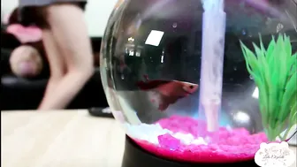 Leda Elizabeth busty nymph fucked cunt