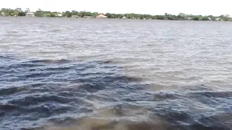 Chezza Luna manyvids hot mare fucks sex toy