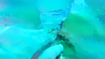 Anissa Kate webcam vids January 2020