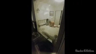 busterandkitten manyvids irresistible female posing in lingerie