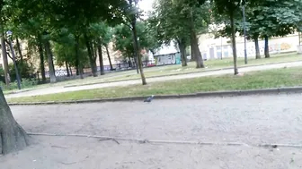 secretdream naughty flip flap no undies hd