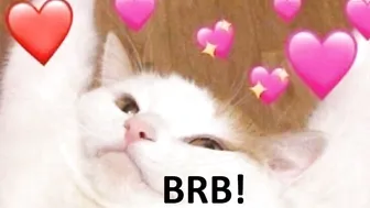 mississanta 7032020 552_female_chaturbate