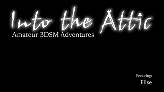 INTO THE ATTIC  _0055_Elise_RT4_3.