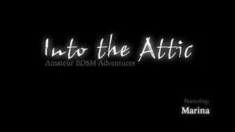 INTO THE ATTIC  _0027_Marina_RT0_2