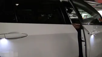 seXXygirl - Public - Fahrdienst-Fick