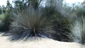 blondehexe - Best of