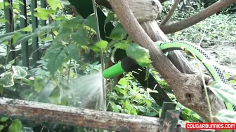 Doris Dawn Summer At Dawn