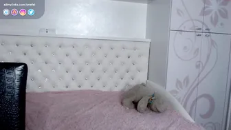 onefel 5.52.020 04 female chaturbate