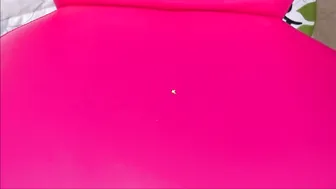 Sandra Latina_The Secretary