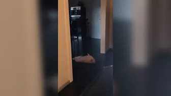 Elise aka Siswet19 _2019-11-04 Lol