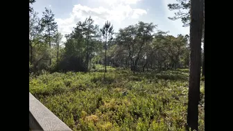 Aryana Augustine _[1359902] New Video!!!! тАЭThe ParkтАЭ [2018-04-16]