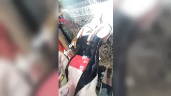 Savannah Fox _[1306290] I'm spilling out this #latex #bush #phatass #phatpussy [2018-04-04]