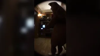 Blondie Fesser onlyfans [0595047] Twerk that [2017 09 28]