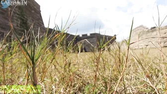 catjira manyvids onlyfans CATJIRA 4th of July Sale American Assassins Cream