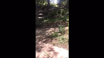 chanelpreston 11 04 2017 250978 Easter with my sexy lady friends.