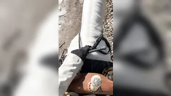 angelwicky 23 03 2020 27091118 Chillax