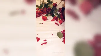 ms fernandes25 14.02.2020