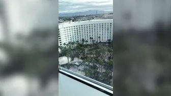 maggiegreenlive 21.01.2020 Not too shabby