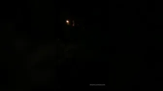 boltonwife 23.10.2019 If u go down to the woods today...