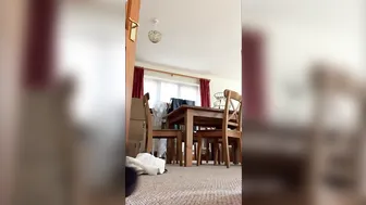 boltonwife 19.09.2019