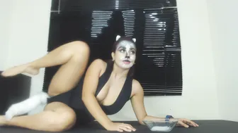 Samispank Kitty wants more Milk