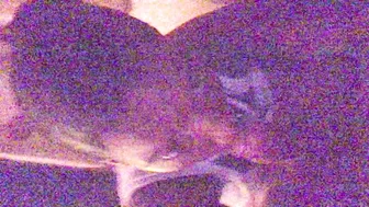 Mocca_Angelface Hot_Teens_Ebony_Rides_Old_White_Dick_POV ManyVids