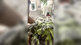 OnlyFans  Emily Rinaudo 142