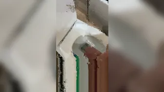 Vanessa Jhons onlyfans 19-11-2019-14482154