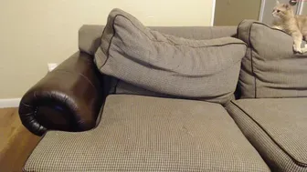 soccer97star 1.02.2019 308_couple chaturbate