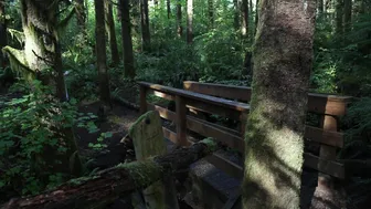 Emma Choice onlyfans_Elizabeth Fingers Only Forest Cum