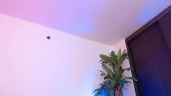 nicolemanson 7.01.2021 040 female chaturbate