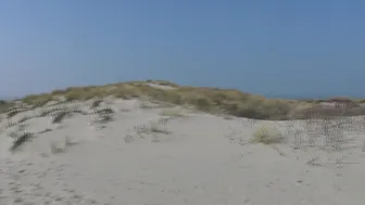 veronagymnast 06 04 2020 2