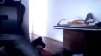 dreianova 6.08.2019 333_female chaturbate