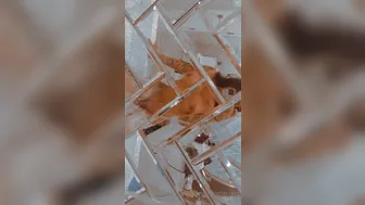 Jane marie onlyfans_10-11-2020-1228810378