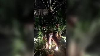 August Taylor onlyfans 17 07 24 405335 Jungle asian af 540x960