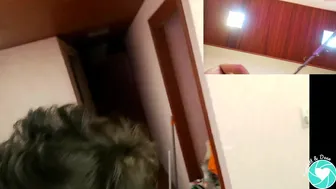 scarlett_and_dean 8.10.2020 117_couple chaturbate