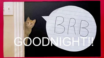 internet_famous 4.05.2021 932_female chaturbate