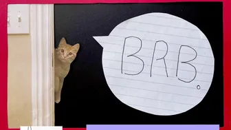 internet_famous 4.06.2021 530_female chaturbate