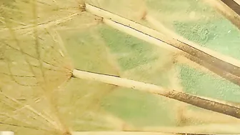 samysamsamx  Fucked herself for a couple of tokens