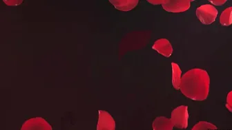 Helloharley  Red