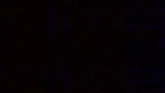 welovetowatch222 the bitch paid the courier for the pizza