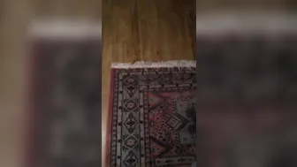 solo masturbate