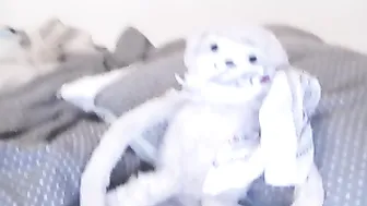 ashlie_lotus  sweet webcam doll