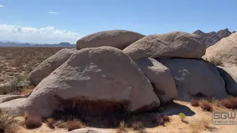 SparksGoWild onlyfans Crazy passion hammering anus with a dildo