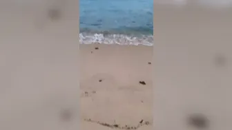 xxapple onlyfans slender mischief in erotic video chat